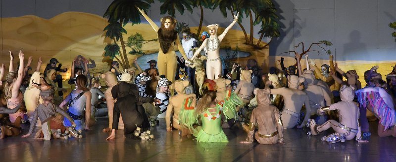 Lionking 0527.JPG
